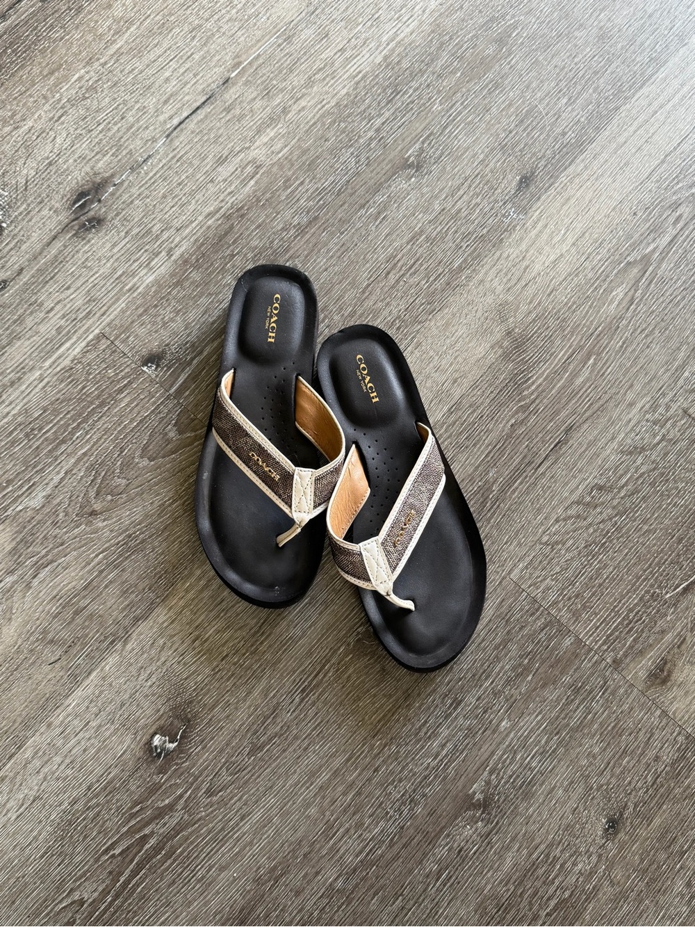 Coach Black Footbed Metallic Beige & Gold Thong Sandals